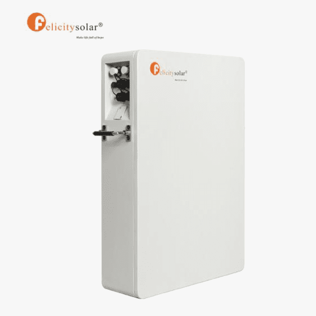 Felicity 48V 100AH LiFeP04  Lithium battery (FLS, LPBF48100)