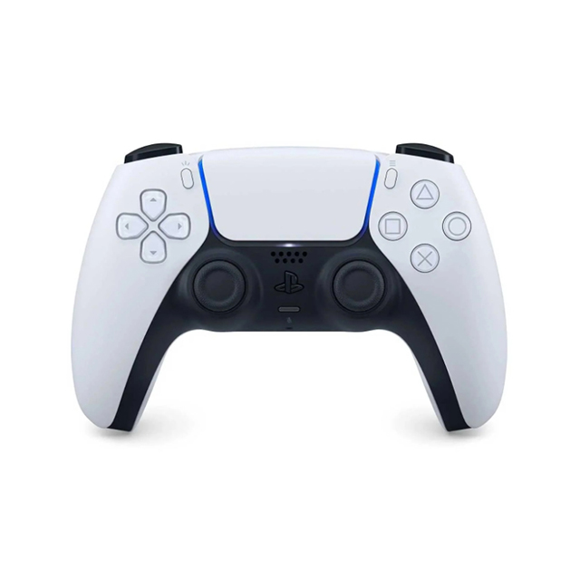 PS5 PAD